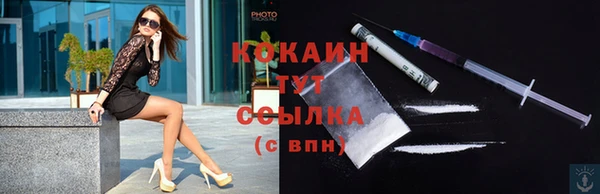 прущие грибы Абинск