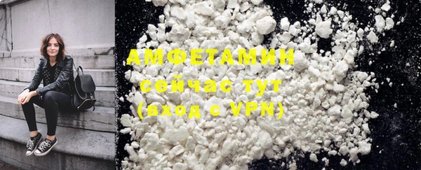 прущие грибы Абинск