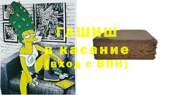 прущие грибы Абинск