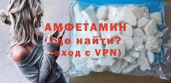 прущие грибы Абинск